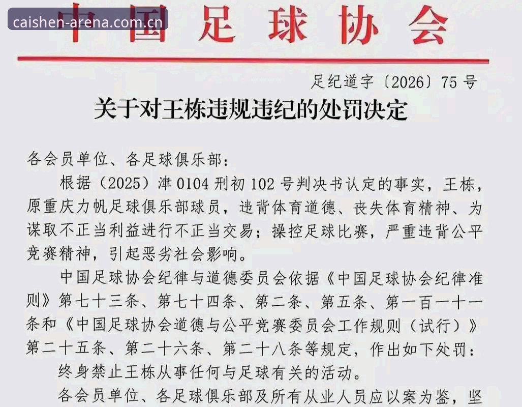 从足协禁足名单看中国足球乱象——资深球迷的深度解析与实用观赛指南